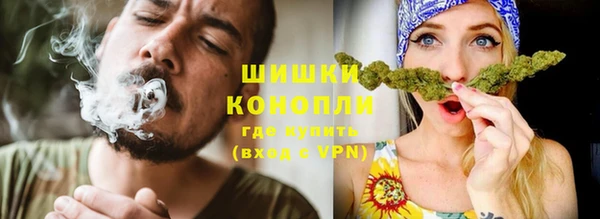 гашик Белокуриха