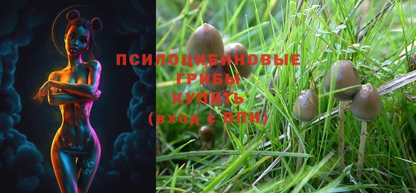 стафф Белоозёрский