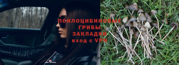 гашик Белокуриха