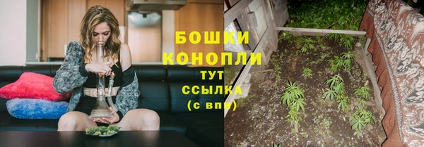 стафф Белоозёрский
