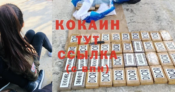 гашик Белокуриха