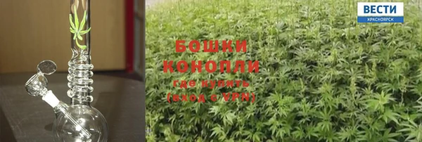 гашик Белокуриха