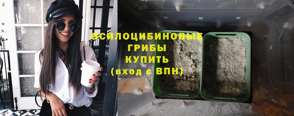 стафф Белоозёрский