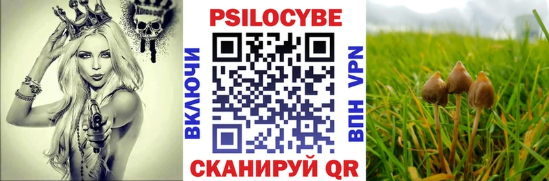 Галлюциногенные грибы мицелий  где продают наркотики  Озёрск 